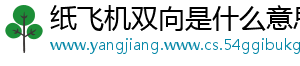 纸飞机双向是什么意思